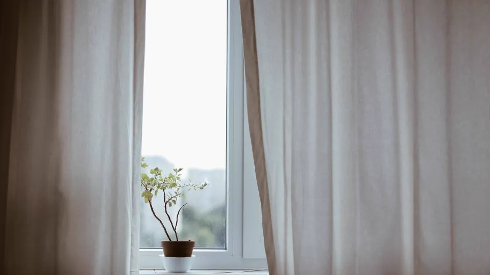 Una ventana con cortinas translúcidas por la que entra luz suave, con una planta.