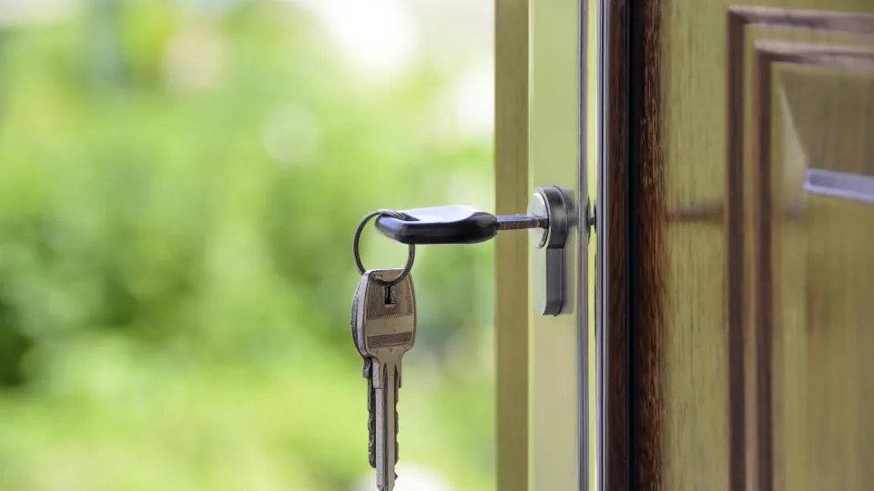 Una llave introducida en la cerradura de una puerta verde, con vegetación al fondo.